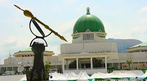 Nigeria Must Rethink Its Legislative Structure